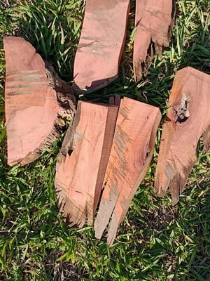 Placa bloco de peroba rosa para orquídeas orquidário