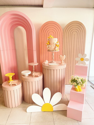 Locação decoração margarida painel 3d