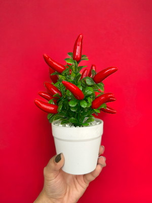 Arranjo de vaso redondo com 20 pimentas artificiais