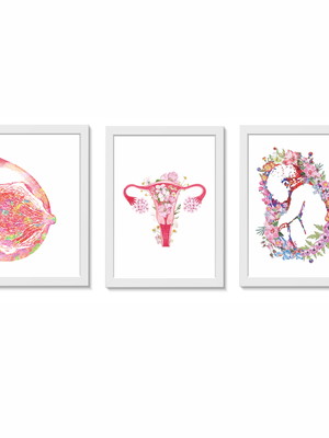 Quadros decorativos ginecologia tamanho a3 molduras brancas