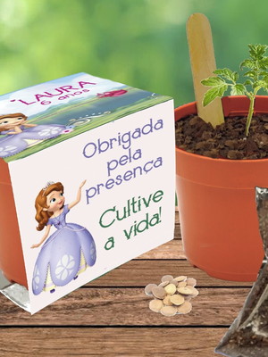 Lembrancinha princesas - 20 kits plantio personalizado
