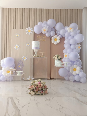 Decoração cha bebe menina(locação)