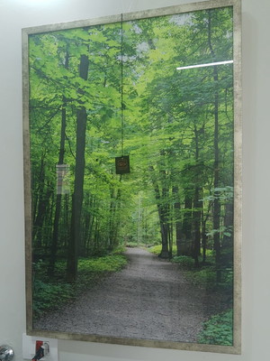 Quadro decorativo paisagem 60x90
