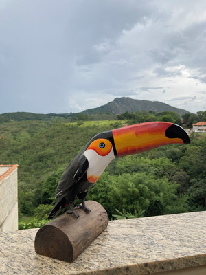 Tucano em madeira artesanal