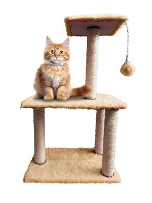 Arranhador de gato 3 bases