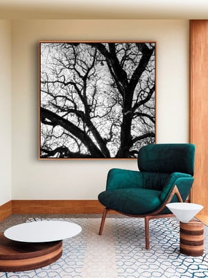 Quadro árvore galhos preto e branco canvas moldura 60x60
