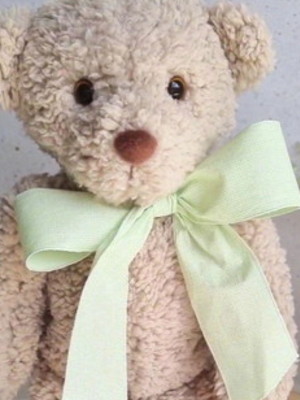 Urso de pelúcia 30cm