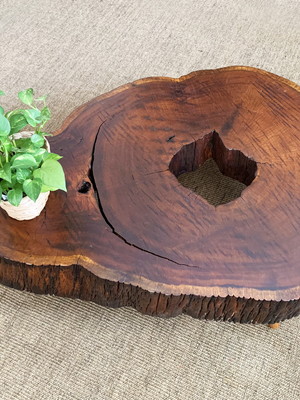Mesa de centro tronco madeira maciça rustica com pés palito