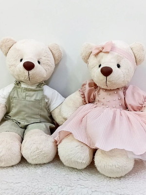 Casal de ursos de pelúcia