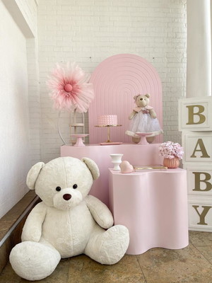 Locação decoração chá de bebê menina