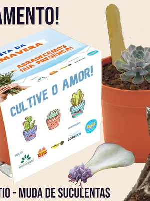 Kit plantio de suculentas- 20 lembrancinhas de suculentas