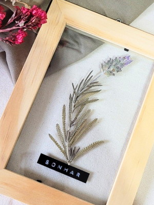 Quadro sonhar p. com planta desidratada