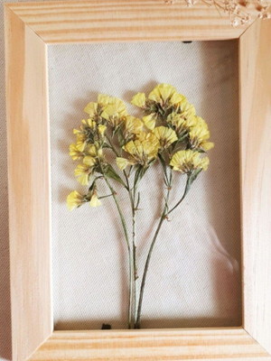 Quadro statice amarela p. com planta desidratada