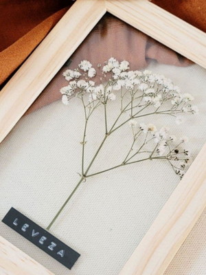 Quadro leveza p. com planta desidratada
