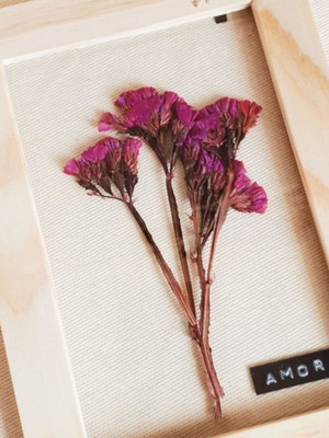 Quadro amor p. com planta desidratada