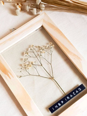 Quadro inspiração p. com planta desidratada