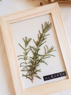 Quadro alecrim p. (planta desidratada e fundo em tecido)