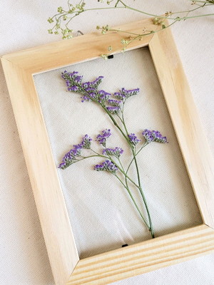 Quadro limoniun roxo p. com planta desidratada
