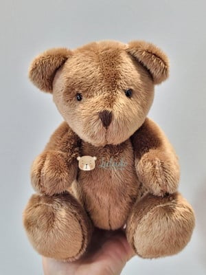Urso pelúcia