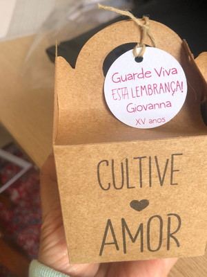 70 kit trevo de 4 folhas