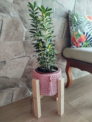 Cachepo para plantas