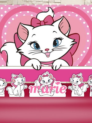 Kit aniversário festa prata painel + display gata marie