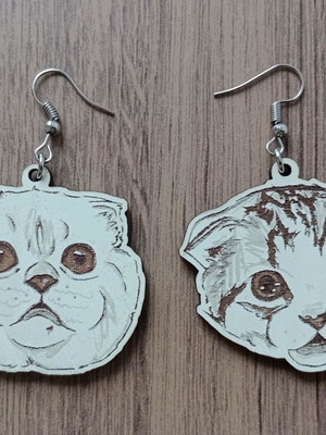 Brinco personalizado meredith e olivia swift taylor swift