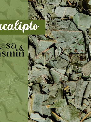 Eucalipto - ervas secas - 50g