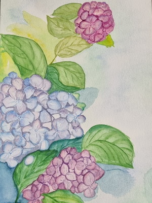 Aquarela 3 hortencias