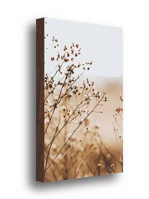 Quadro decorativo flores no campo 40x60cm