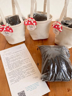 Kit jardinagem infantil (30 unidades) com pazinha