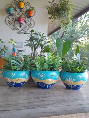 Trio de vasos de barro modelo begônia cerosa