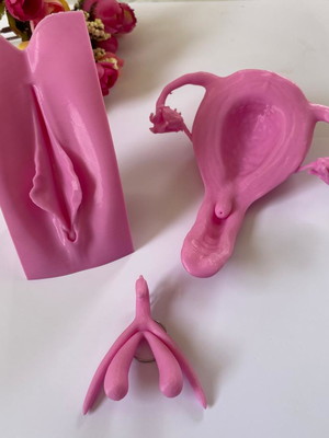 Kit anatomia feminina