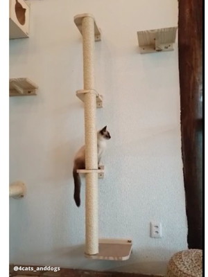 Arranhador para gato - escalador-modulado c/ revestimento