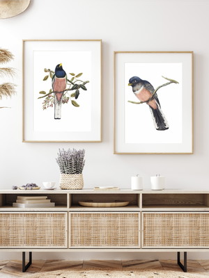 2 quadros pássaros passarinhos animais com molduras