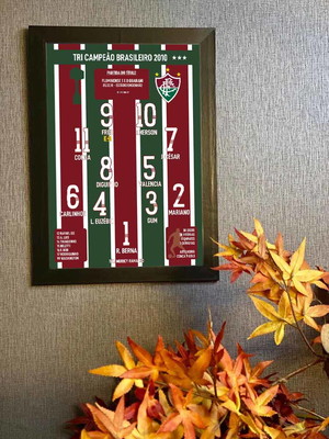 Fluminense campeão brasileiro 2010 quadro c/ moldura 33x24cm