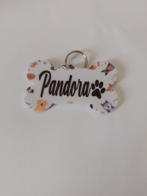 Placa de identificação para cães