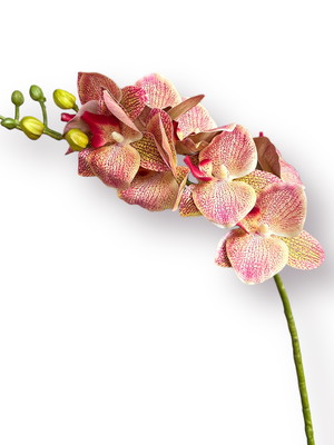 Galho de orquídea 8 flores phalaenopsis artificial rosa raja