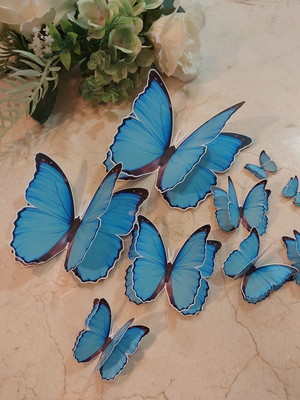 Aplique de borboleta azul