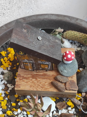 Casinha para terrário