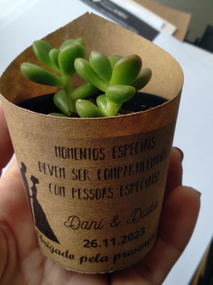 Mini suculenta no rótulo kraft - casamento