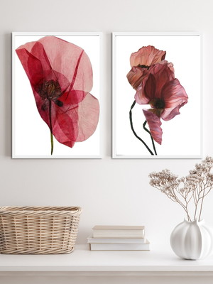 Kit 2 quadros sala flores modernas sóbrias-a4 com vidro