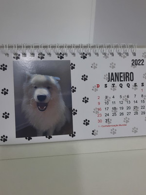 Calendário de mesa personalizado 2025