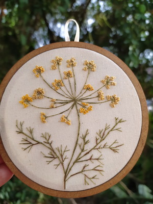 Erva doce brasileira 12cm