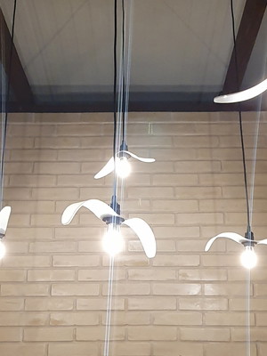 6 luminárias gaivotas brancas com lâmpadas e fio preto 110v