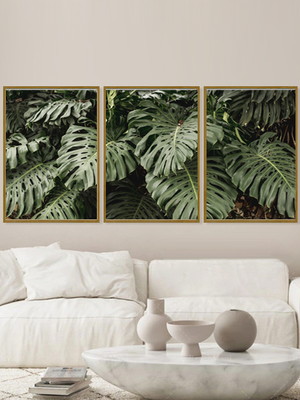 Quadros decorativos costela de adão plantas folhagem premium