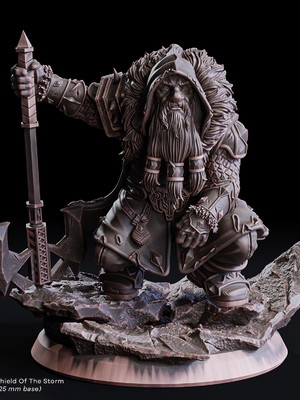 Miniatura de rpg - helsdred, shield of the storm