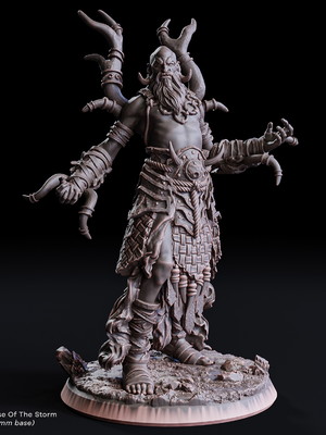 Miniatura de rpg - zetnir curse of the storm