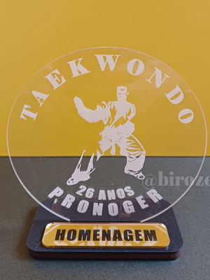 Kit 6 unid troféu homenagem acrílico personalizado