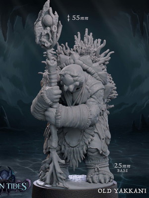 Miniatura de rpg - old yakkani elder